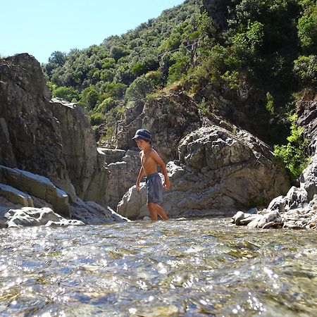 La Frigoule, Un Gite Au Coeur Du Parc Des Cevennes Generargues Kültér fotó