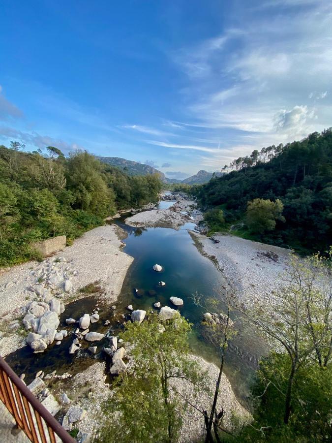 La Frigoule, Un Gite Au Coeur Du Parc Des Cevennes Generargues Kültér fotó